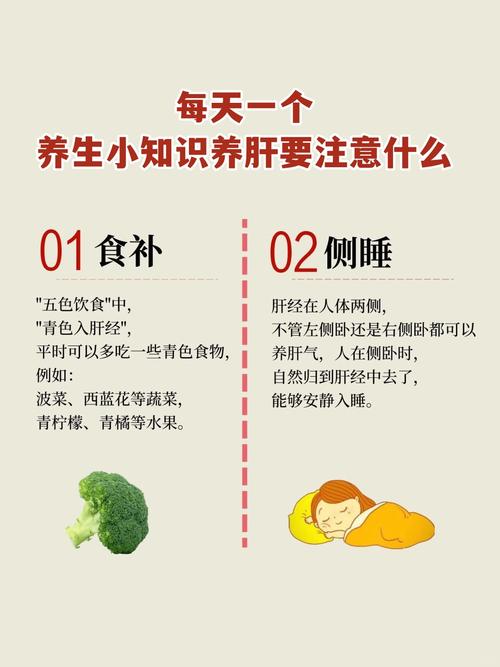 肝脏补硒时间