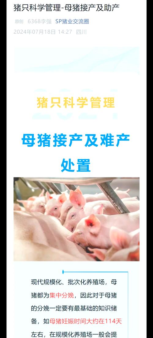仔猪出生补硒