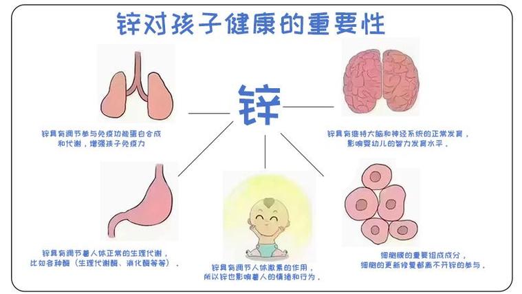 锌 硒怎么补