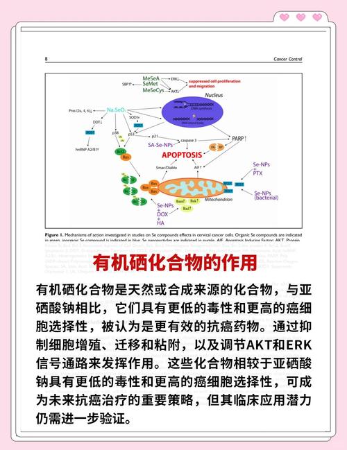 德国补硒研究