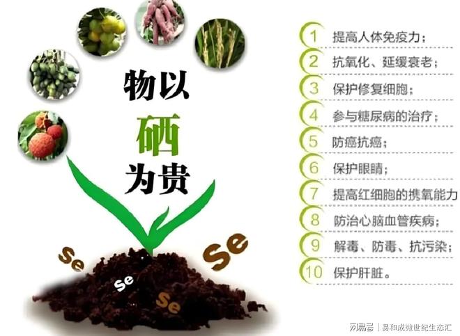 全民补硒倡议