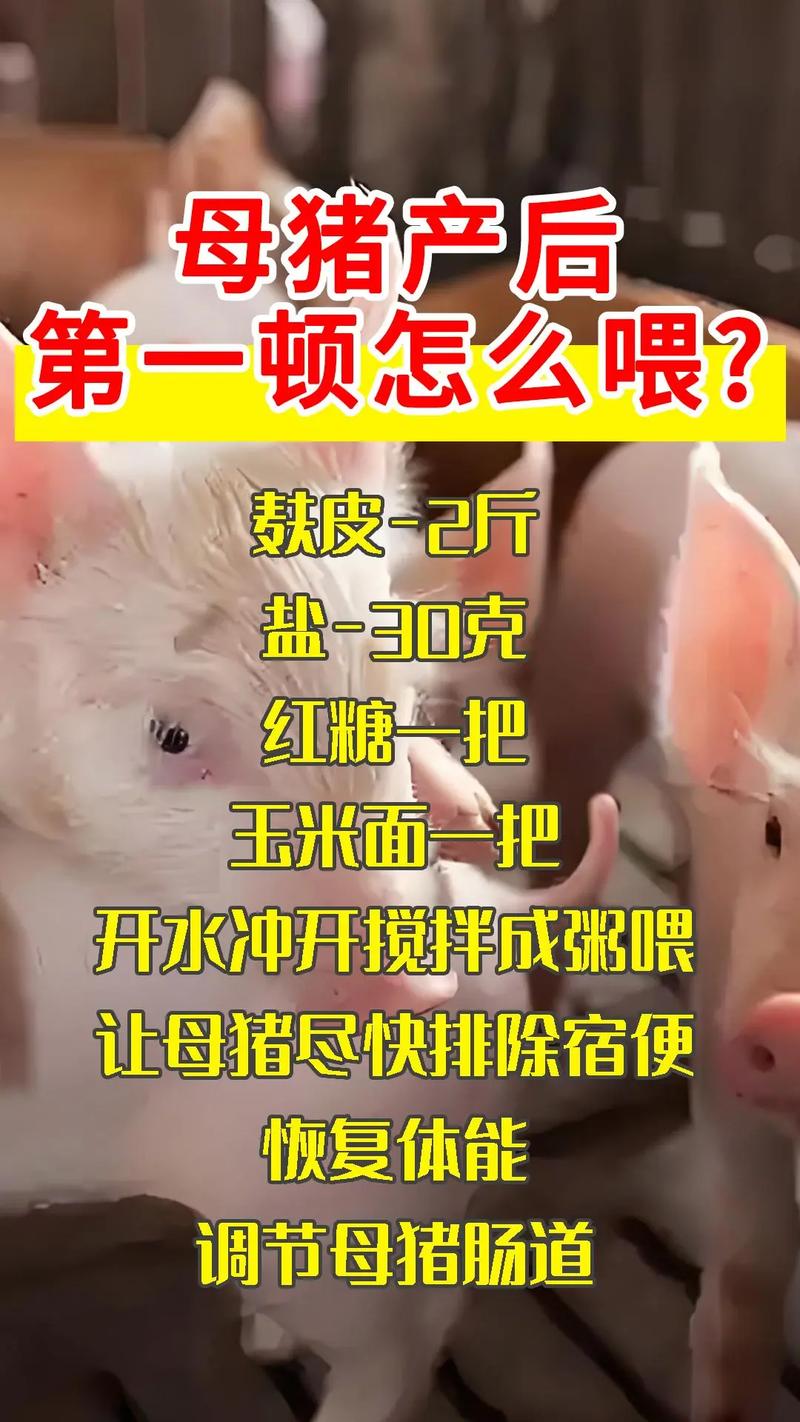 下生小猪补硒
