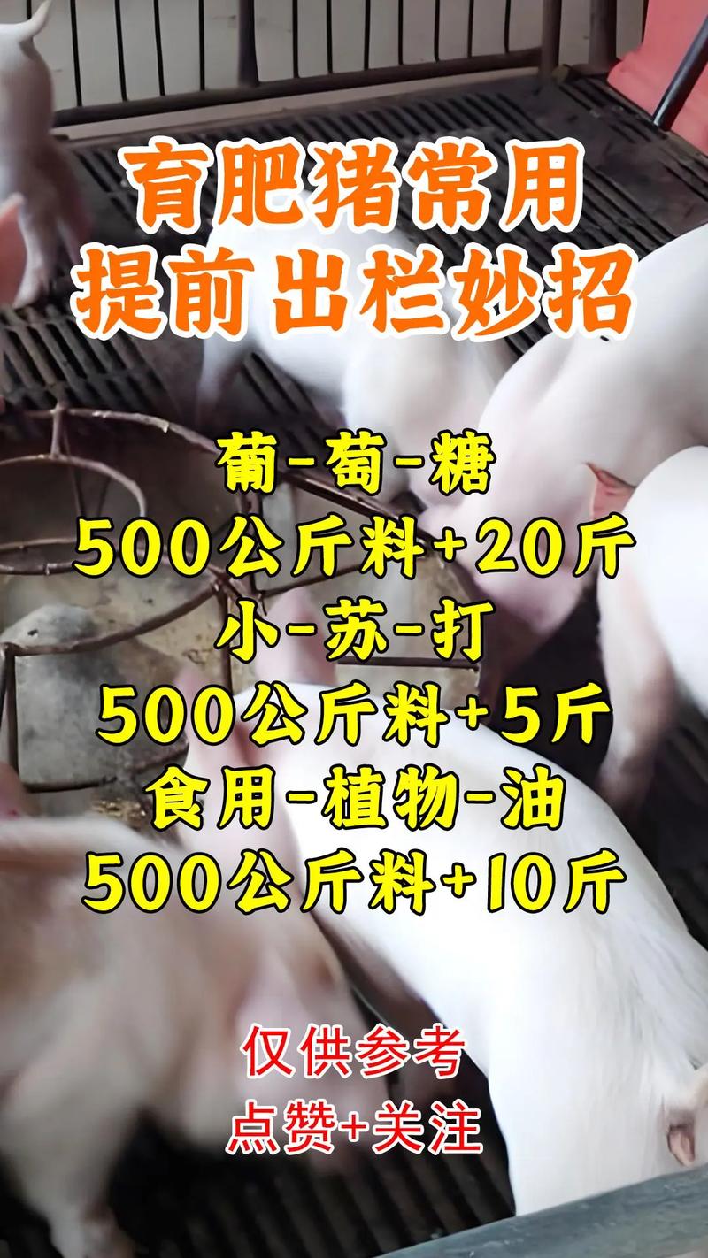 下生小猪补硒