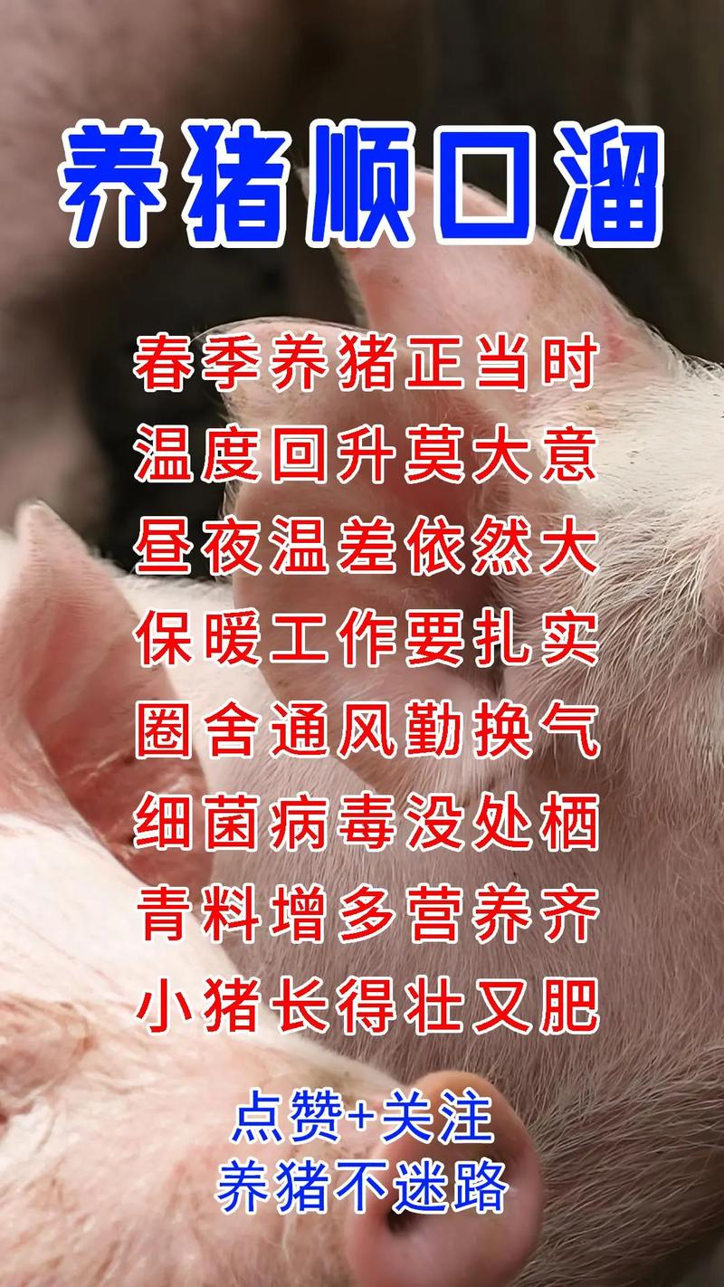 下生小猪补硒