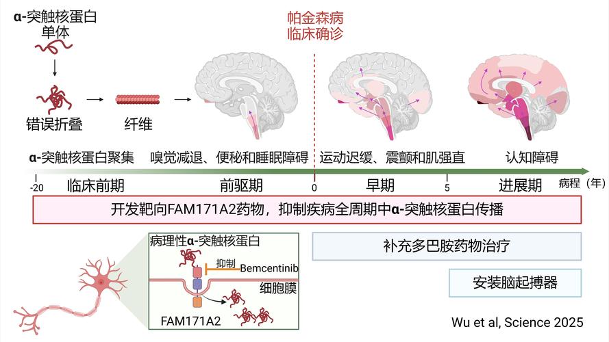 补硒与帕金森