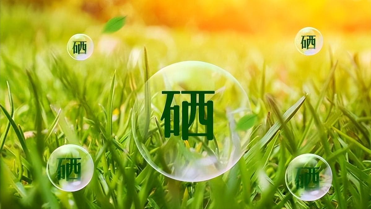 补硒长寿元素