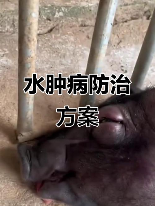 猪仔补硒中毒