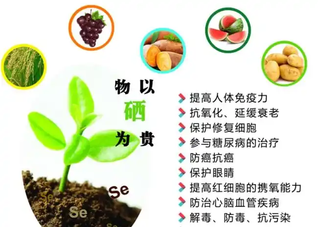 口服补硒制剂