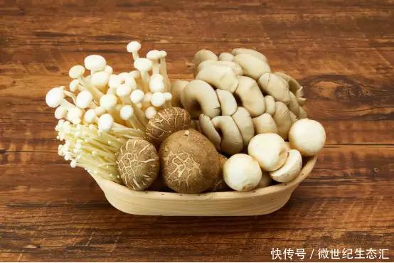 植物怎样补硒