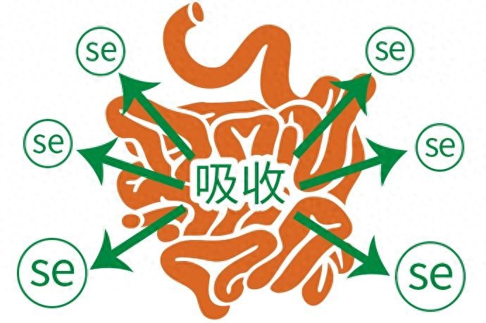 补硒睡眠不好