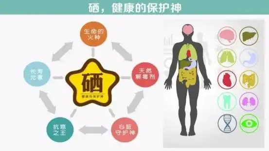 压片糖果补硒