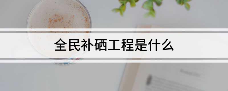 补硒工程简介