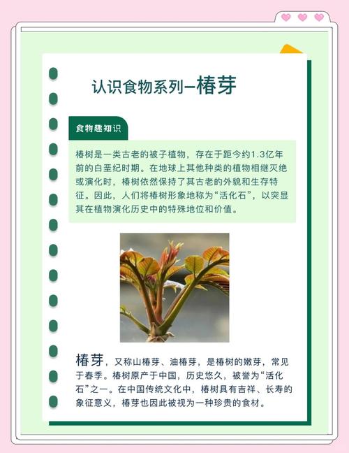 蔬菜如何补硒