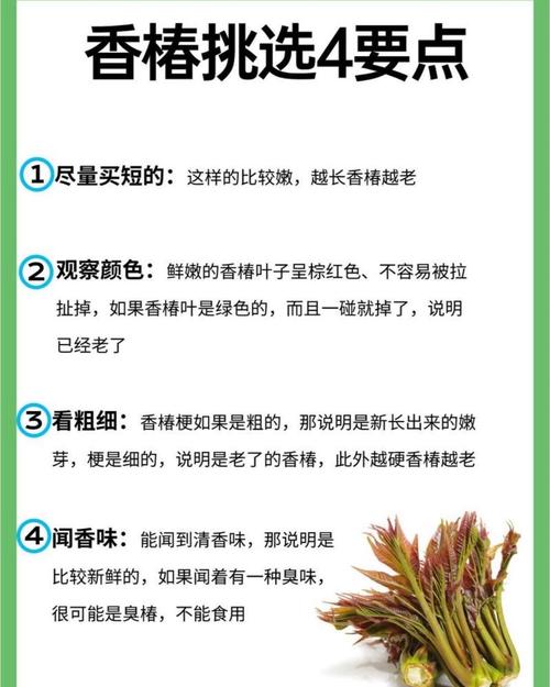 蔬菜如何补硒