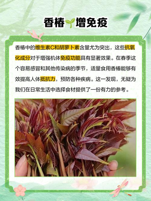蔬菜如何补硒