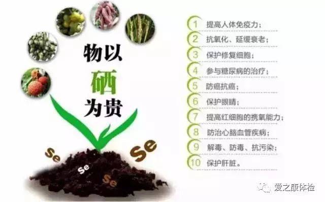 中央全民补硒