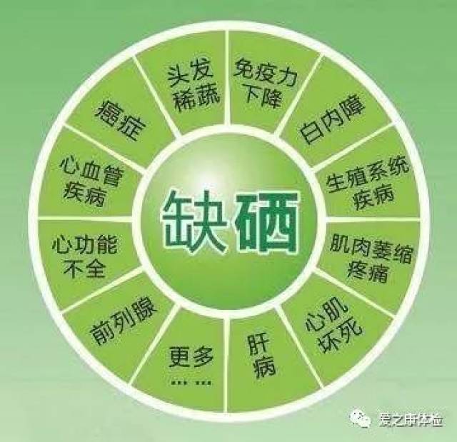 中央全民补硒