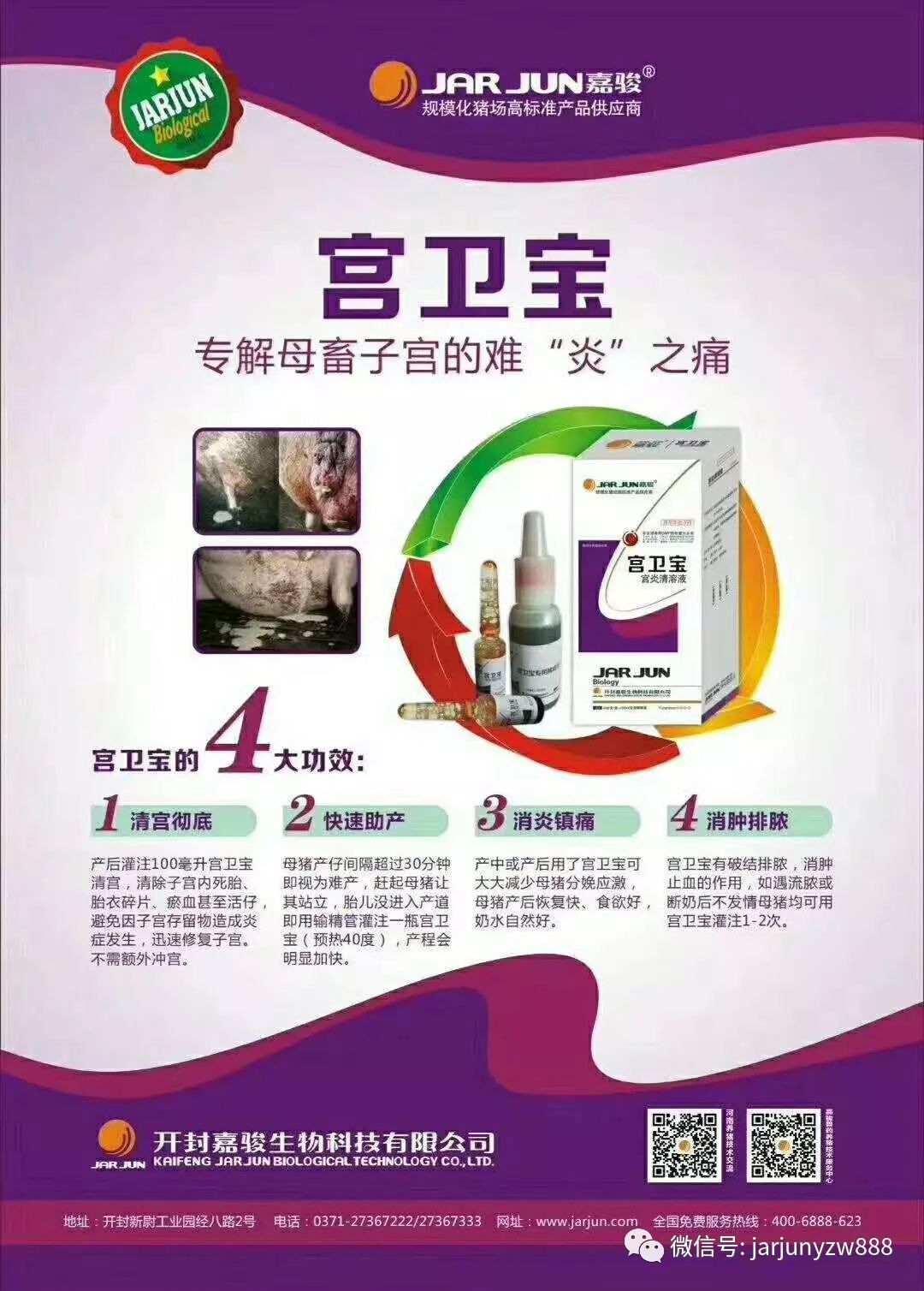妊娠母猪补硒