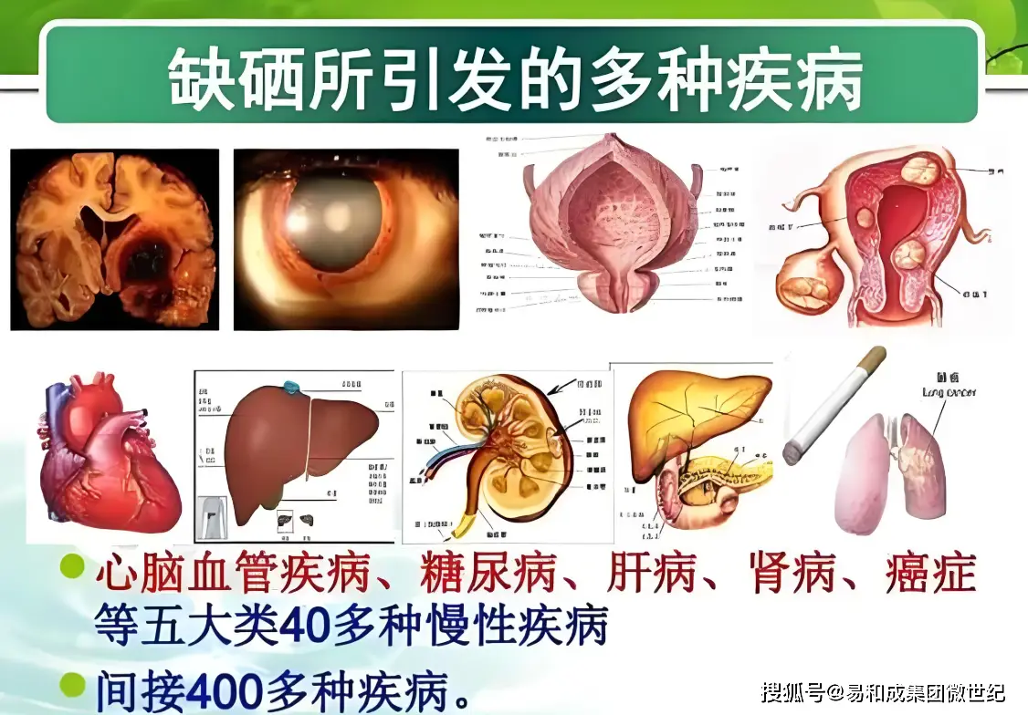 男士补硒作用