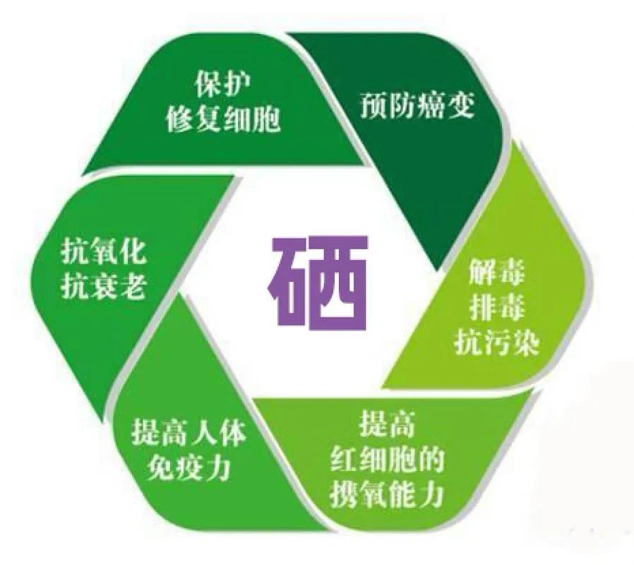 科学补硒工程