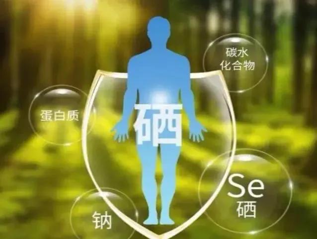 科学补硒工程