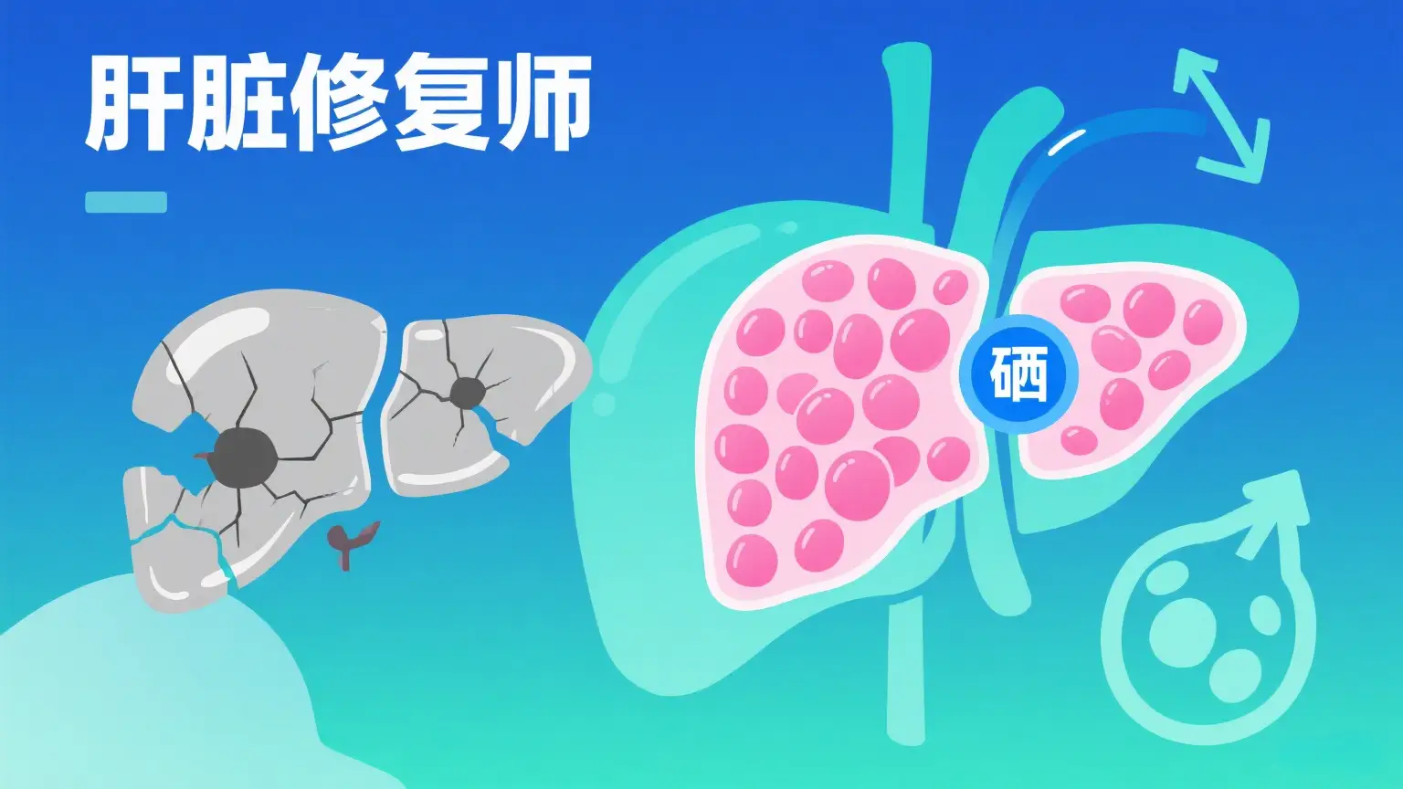男士补硒作用