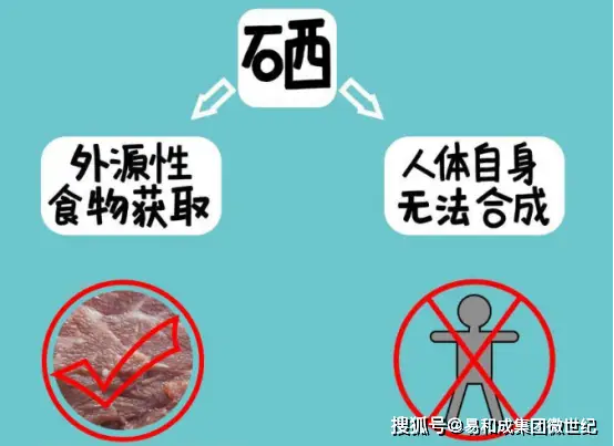 男士补硒作用
