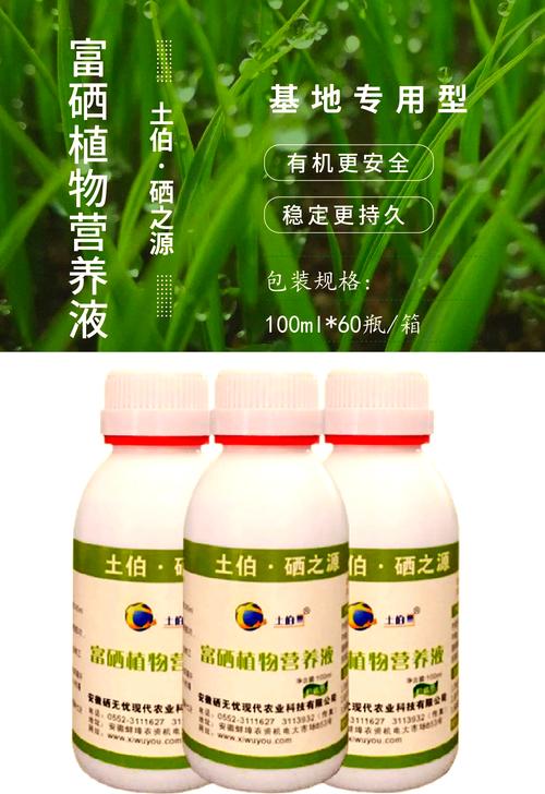 男性硒怎么补