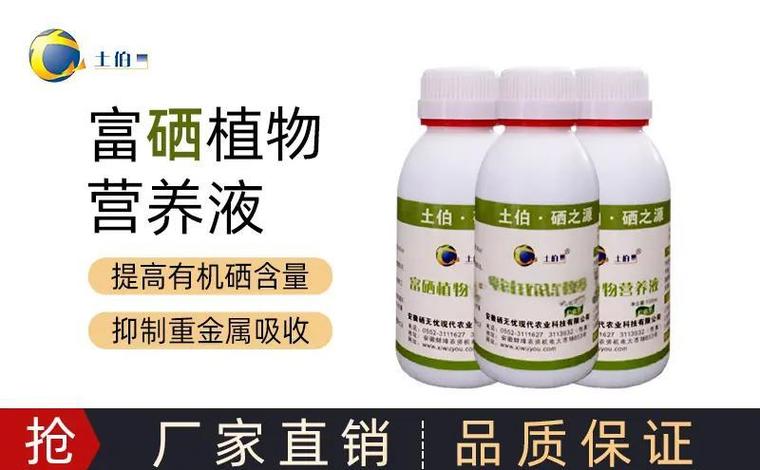 男性硒怎么补