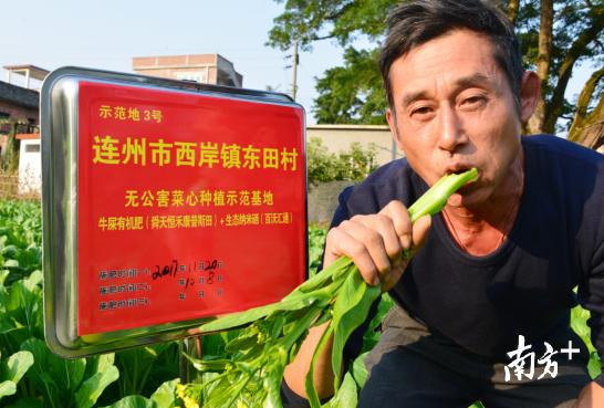 受到辐射补硒