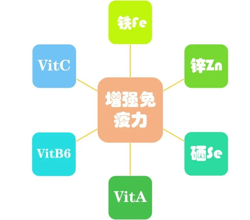 补硒食物少年
