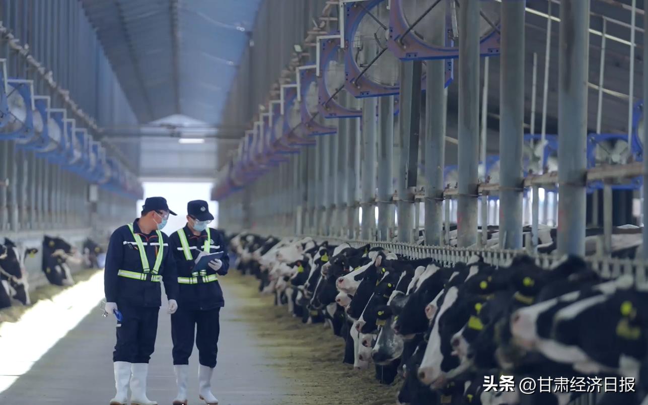 补硒食物少年