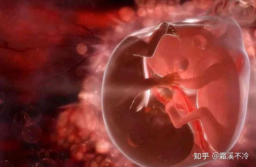 孕期补硒方案