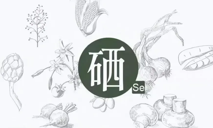 三九补硒骗局