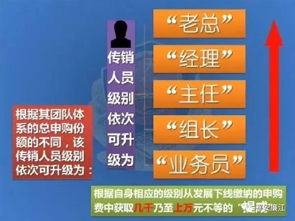 廉江：一美女任传销组织“A级头目”，曝光所谓的“国家扶持项目”