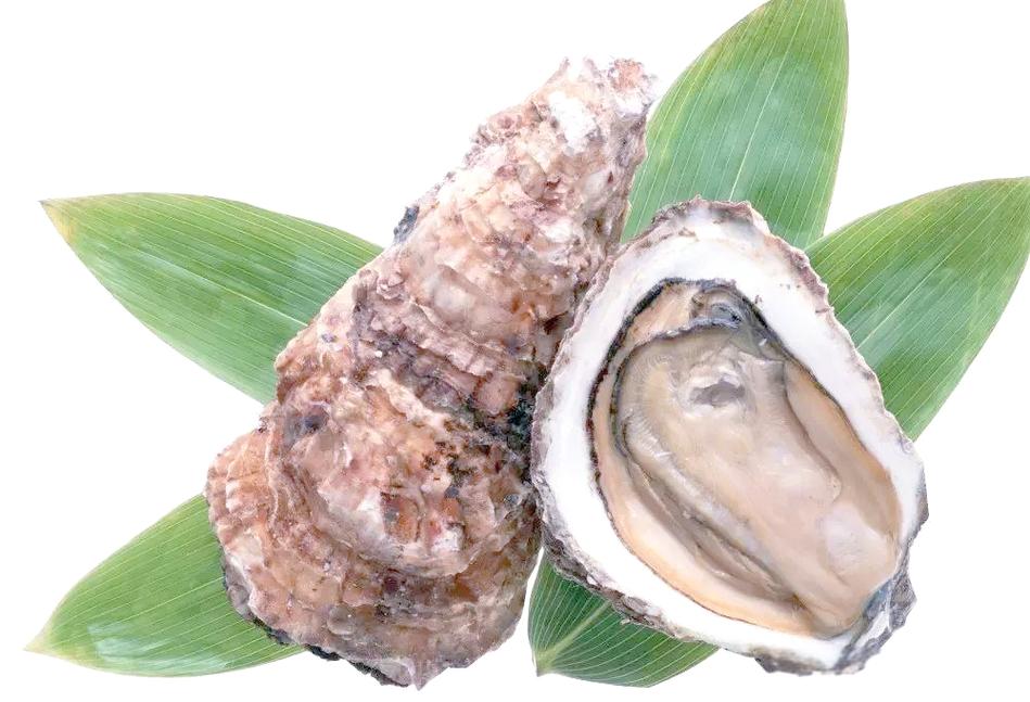 女性补硒食物