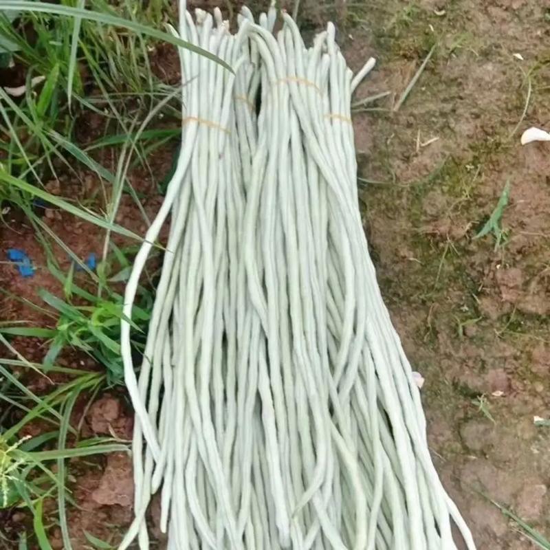女性补硒食物