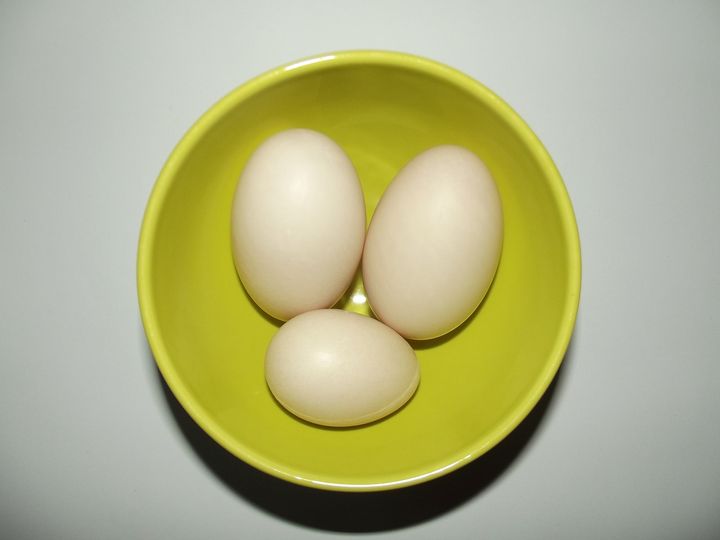 食物能否补硒