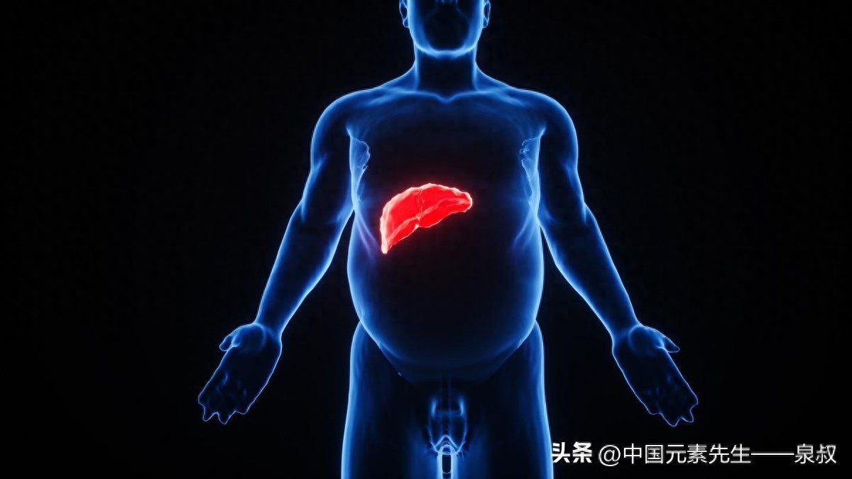 补锌补硒食品