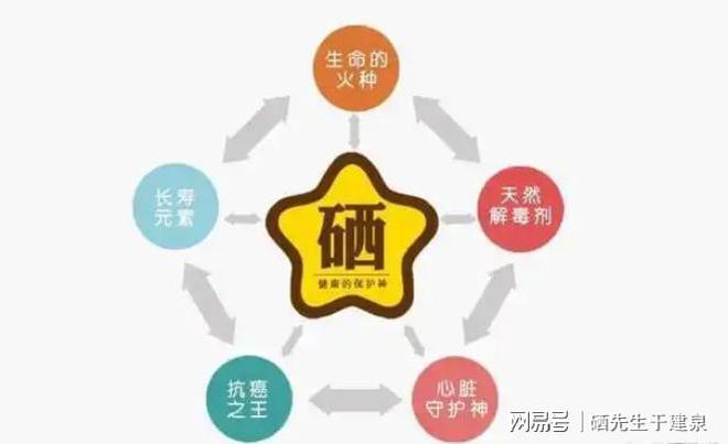 补硒什么时候