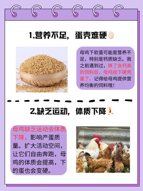 鸡为啥要补硒