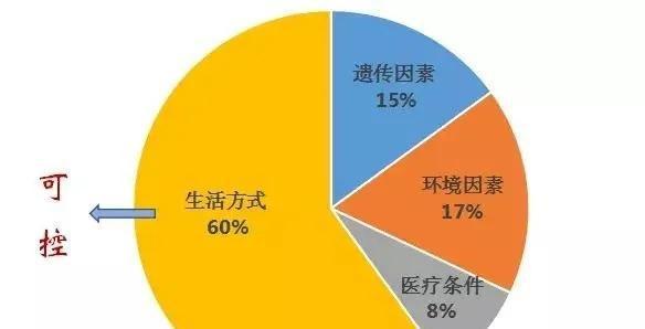 补硒达人文稿