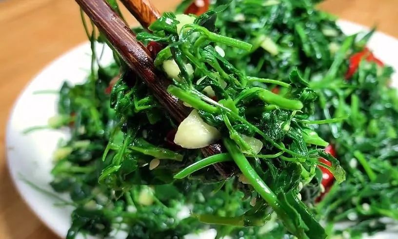 鹅肝可以补硒