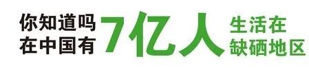 于若木 补硒