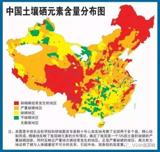 于若木 补硒