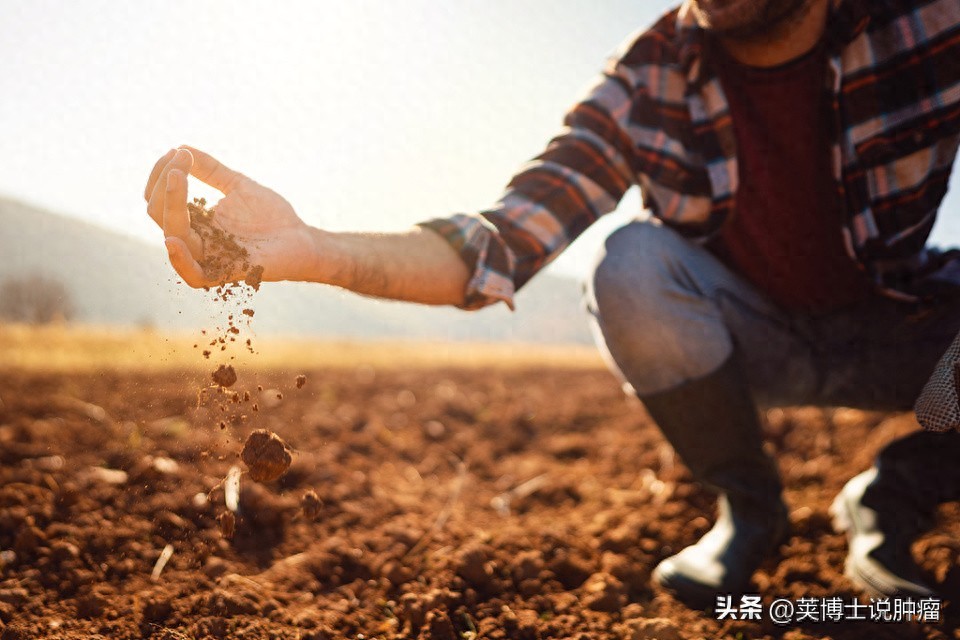 补硒要禁酒吗