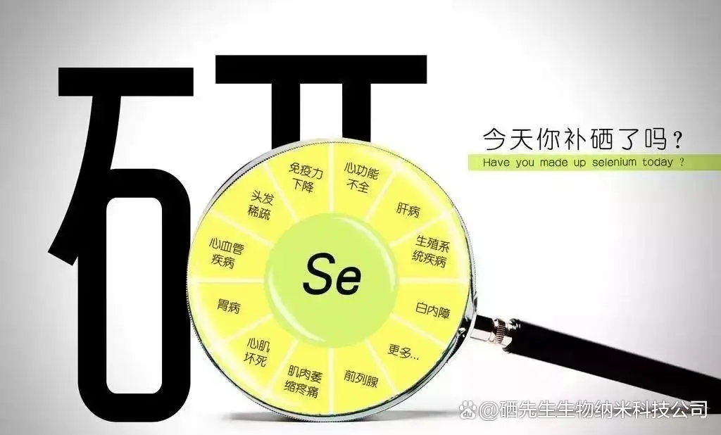 补硒可以治癌