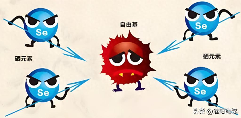 补硒补锌的药