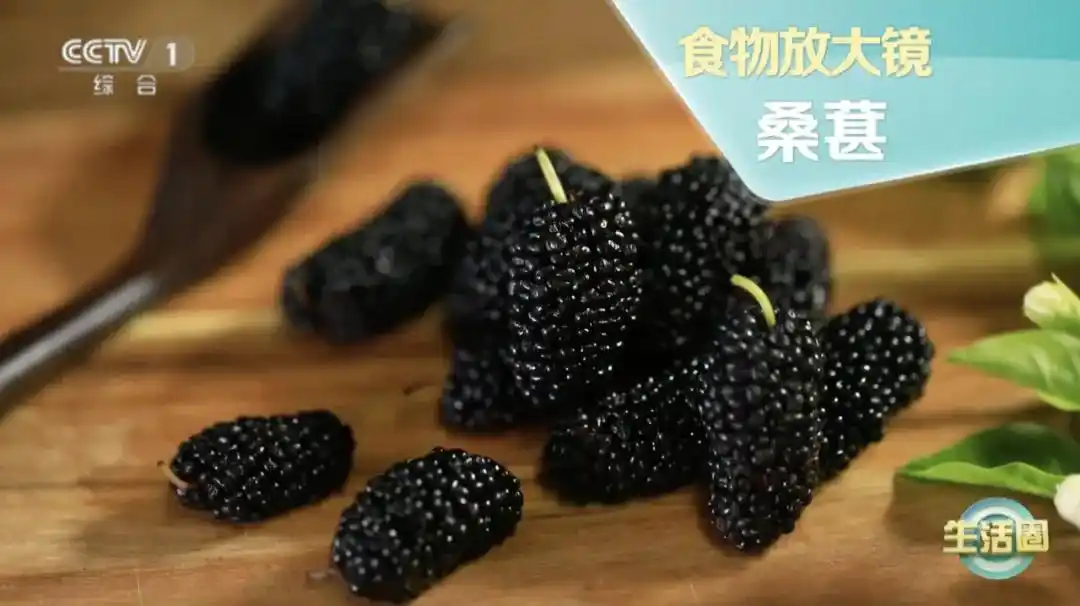 桑椹能补硒吗