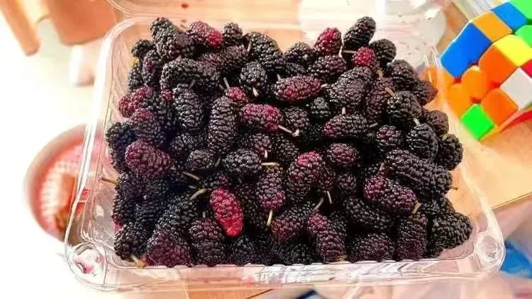 桑椹能补硒吗